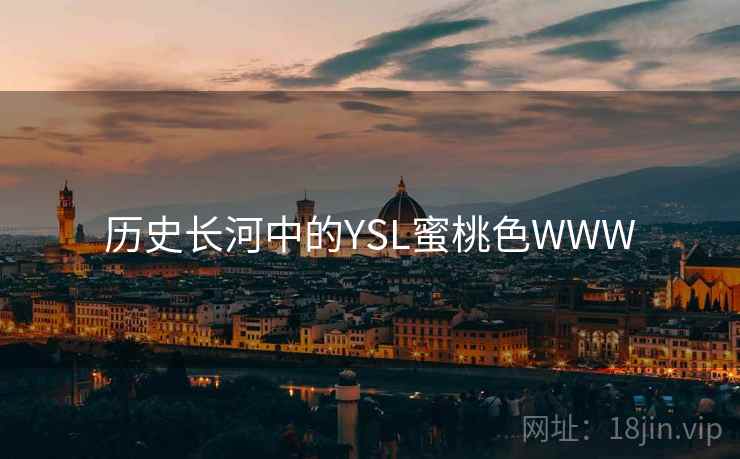 历史长河中的YSL蜜桃色WWW 第2张 历史长河中的YSL蜜桃色WWW 第2张